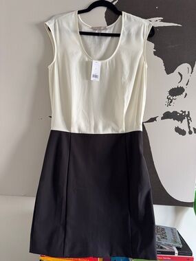 Banana Republic Cream and Black Sleeveless Colorblock Mini Dress